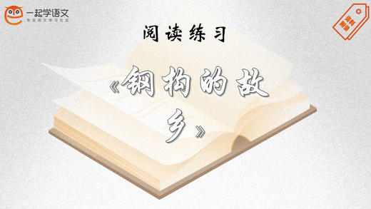 阅读练习：《钢构的故乡》 商品图0