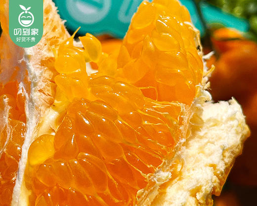 四川眉山精笃大雅柑礼盒/1箱（3.5kg±100g） 商品图2