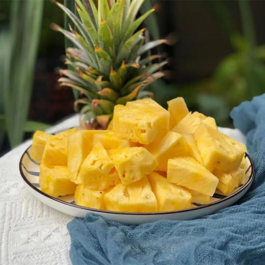 海南树上熟金钻凤梨 长的狂野，甜的专一 118项农残0检出报告+有机认证 商品图1