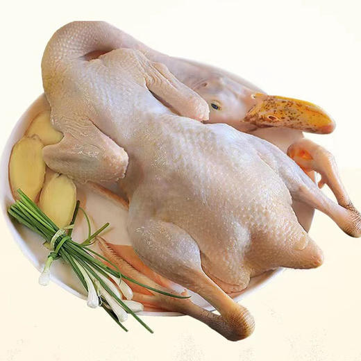 【独元】4年老鸭1kg*1只 商品图1