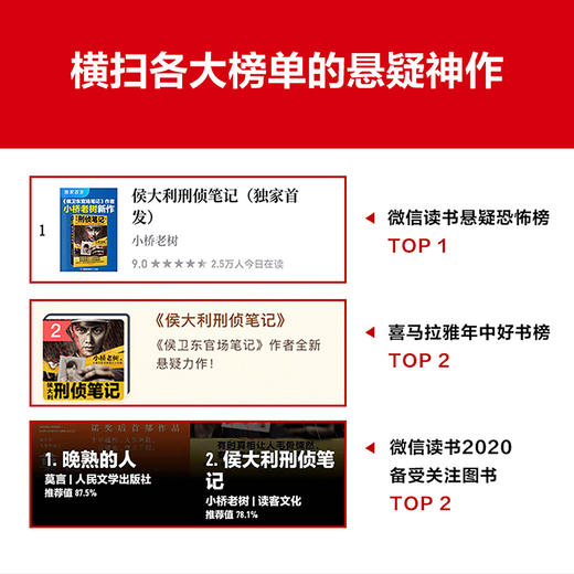 侯大利刑侦笔记9：大结局 小桥老树 教科书式破案小说 商品图5
