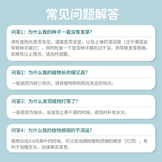 【绿植现货】种子乐乐杯8.9(让小朋友感觉 种植物的意义 现货 下单即可到店自提） 商品图11