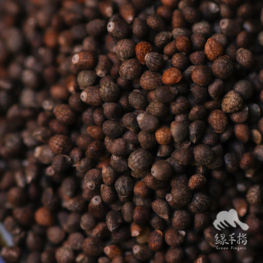 生态紫苏籽|合作生产*Eco-Perilla Seed | Coproduct 商品图2