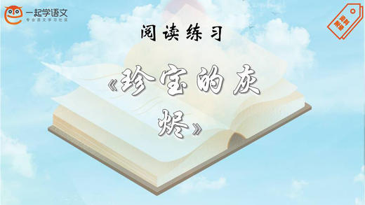 阅读练习：《珍宝的灰烬》 商品图0