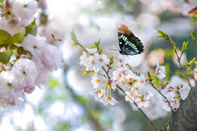晚上睡不着，白天睡不醒，春困怎么办？