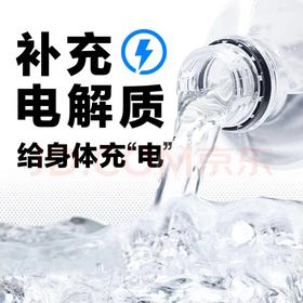 农夫山泉电解质饮料