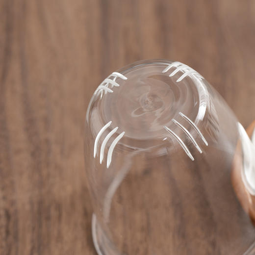 【采购专享】清灵/深空系列 泡茶杯 （榉木盖、透明） 商品图9