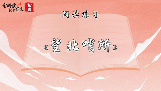 阅读练习：《望北哨所》 商品图0