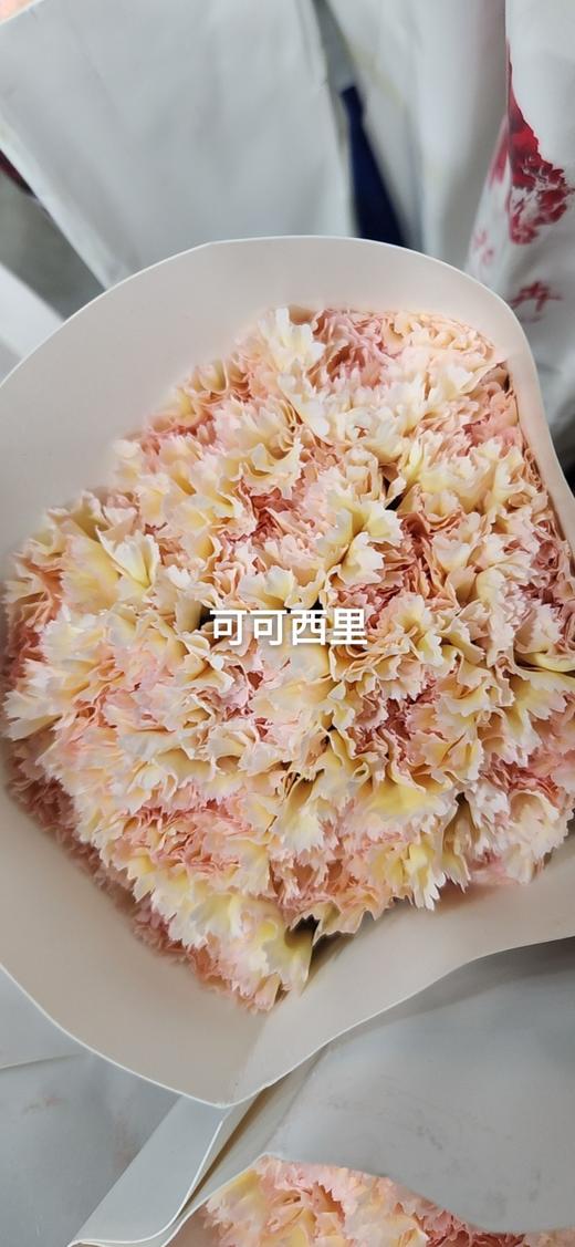 康乃馨可可西里 商品图1