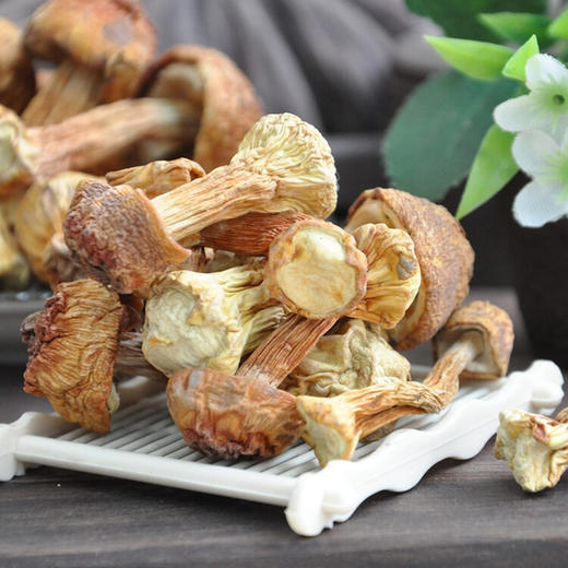 【粤众佳源】精选姬松茸170g 商品图2