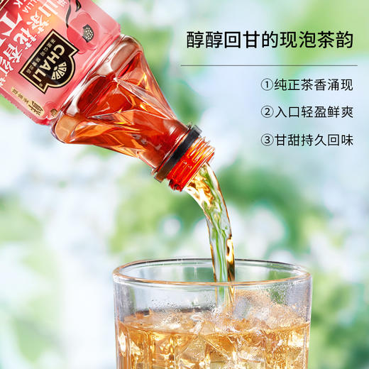CHALI 山茶花香红茶 原味茶茶饮料 15瓶 商品图4