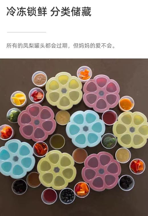 法国Beaba 硅胶储存格 婴儿辅食盒冷冻冷藏保鲜辅食格食物分装 商品图5