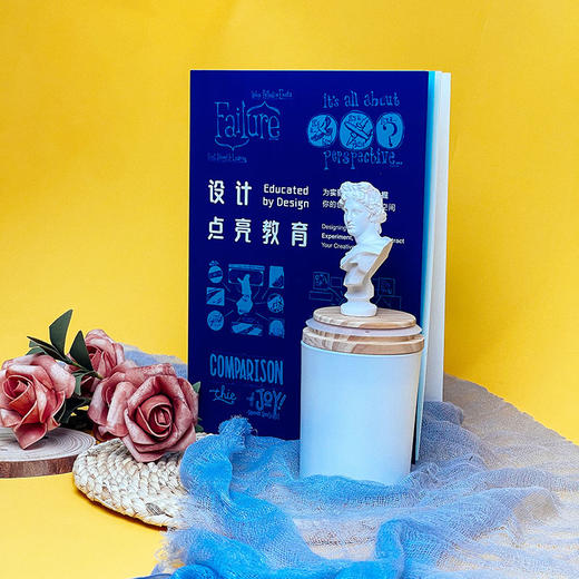 设计点亮教育 教学设计 学习体验设计 培养学生创造力 商品图2