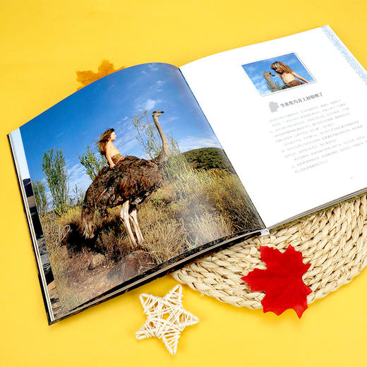 我的野生动物朋友：精装珍藏版 商品图6