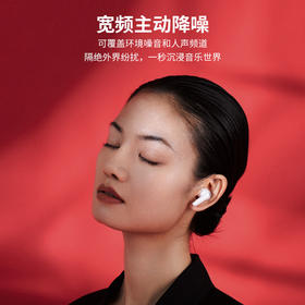 Pamu S29真无线降噪耳机 | 主动宽频降噪技术，通话降噪；开盖即连双主机，单耳模式，双耳模式使用,极轻人耳工学设计，舒适佩戴
