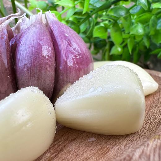 【大理紫皮鲜蒜】独头蒜&三瓣蒜&多瓣蒜，三款任君选择💥只选精品鲜蒜❗️  现挖现发！ 商品图3