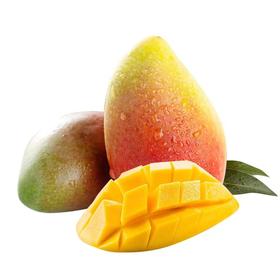 树上熟贵妃芒（5斤/箱）