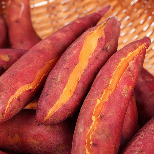 西瓜红蜜薯，新鲜现挖，好吃当季，粉糯香甜 商品图2