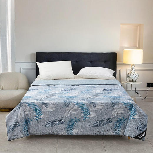 【分仓直发包邮】HUGOBOSS蚕丝蛋白纤维印花被 HBXW-055S 商品图1