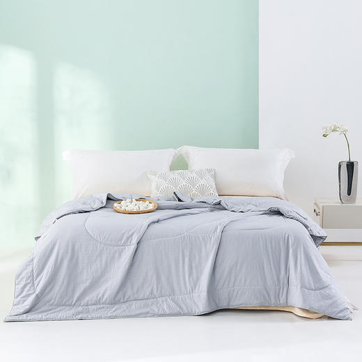 【钱皇】夏季雪顶蚕丝被聚乳酸被，双宫茧桑蚕丝，亲肤透气，对肌肤很友好，取自钱皇自建桑园6A级双宫茧桑蚕丝，被誉为“纤维皇后”，人体第二肌肤，亲肤透气，柔软贴身，盖在身上清爽不闷热 商品图5