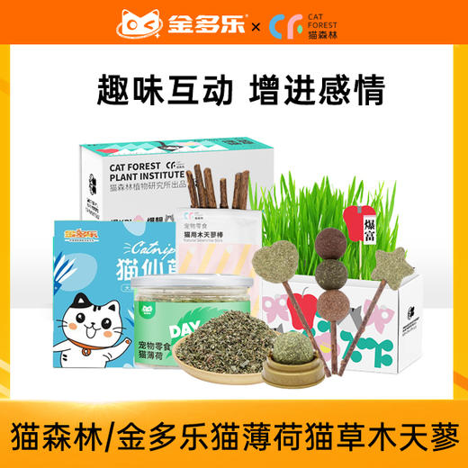 猫森林木天蓼 商品图2