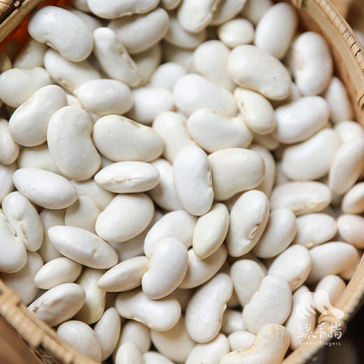 生态高原雪豆 | 合作生产 * Ecological Plateau Snow Bean  | Coproduction 商品图0
