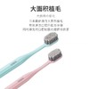 日本TOTES进口牙刷螺旋刷毛环保可降解玉米淀粉牙刷大刷头牙刷 商品缩略图1