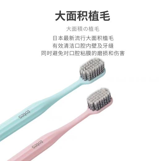 日本TOTES进口牙刷螺旋刷毛环保可降解玉米淀粉牙刷大刷头牙刷 商品图1
