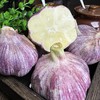 【大理紫皮鲜蒜】独头蒜&三瓣蒜&多瓣蒜，三款任君选择💥只选精品鲜蒜❗️  现挖现发！ 商品缩略图2