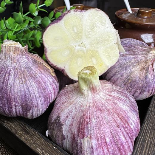 【大理紫皮鲜蒜】独头蒜&三瓣蒜&多瓣蒜，三款任君选择💥只选精品鲜蒜❗️  现挖现发！ 商品图2
