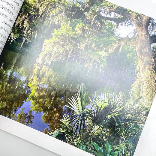 树木简史 植物百科全书 自然科普书籍 文化全科知识 课外阅读科普书籍 植物的奋斗 认识花草树木 家门外的自然课 商品图4