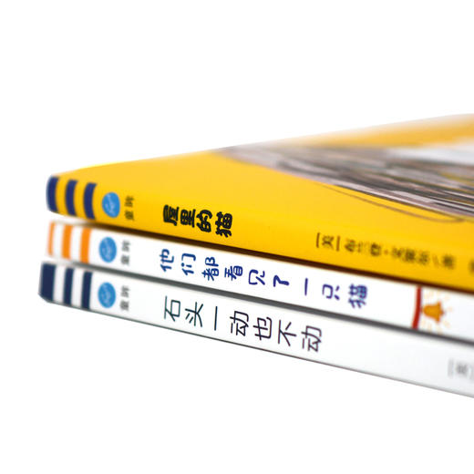 【奇想国】布兰登·文策尔作品4册：新书《万物梦生》+《屋里的猫》《他们都看见了一只猫》《石头一动也不动》 商品图4