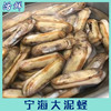宁海大泥蛏【活鲜】 商品缩略图2