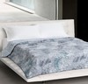 【分仓直发包邮】BOSS蚕丝蛋白纤维印花被HBXW-055L 商品缩略图0