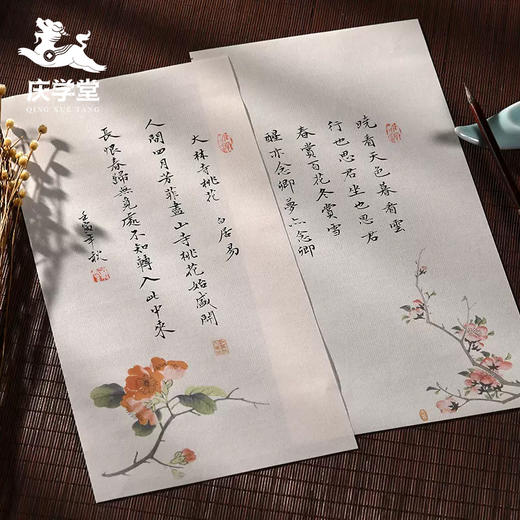 【庆学堂】暗香疏影彩绘笺信笺纸 书法练习纸 创作纸 半生熟纸性 商品图0