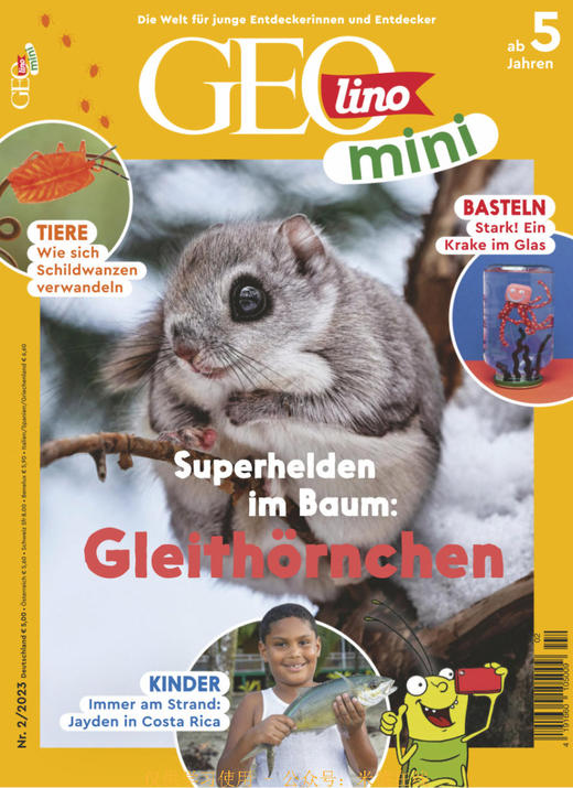 Geomini - 2023.02 商品图0