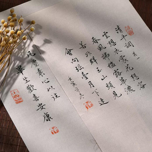 【庆学堂】暗香疏影彩绘笺信笺纸 书法练习纸 创作纸 半生熟纸性 商品图4