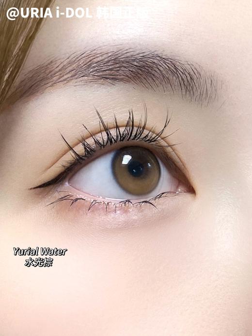 正品日抛 IDOL 系列水光棕美瞳 直径14.2 着色13.2 韩国产 商品图3