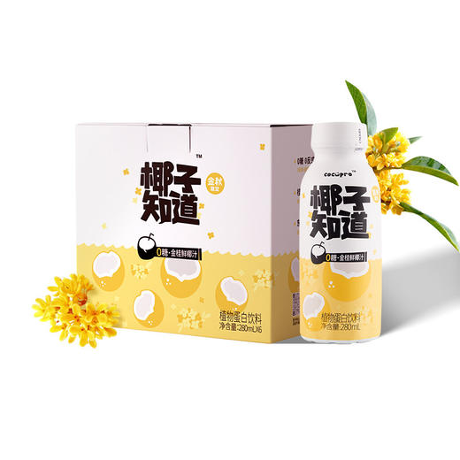 椰子知道 0糖金桂鲜椰汁280ml/瓶*6 商品图4