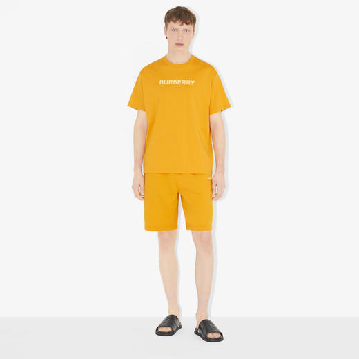 BURBERRY 巴宝莉 男士字母徽标印花棉质平织圆领短袖T恤 黄色 8065396 A4029 商品图1