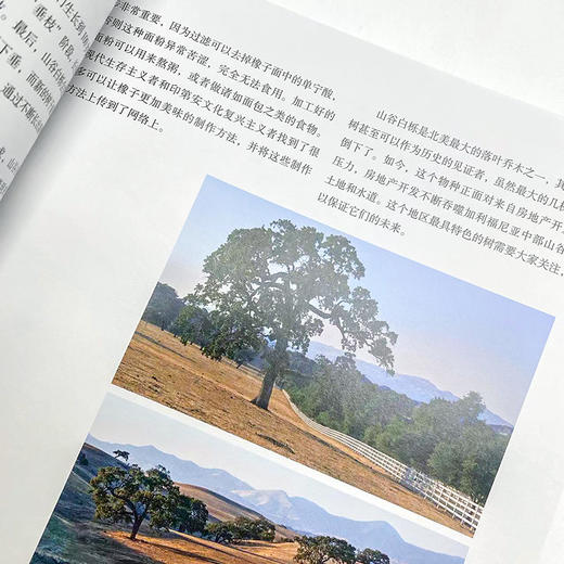 树木简史 植物百科全书 自然科普书籍 文化全科知识 课外阅读科普书籍 植物的奋斗 认识花草树木 家门外的自然课 商品图3