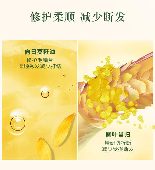 【国庆秒杀】欧舒丹草本5合1精华洗发水50ml*2 商品图3
