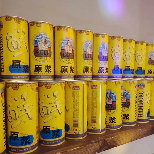 汉姆精酿原浆啤酒500ml 商品图2