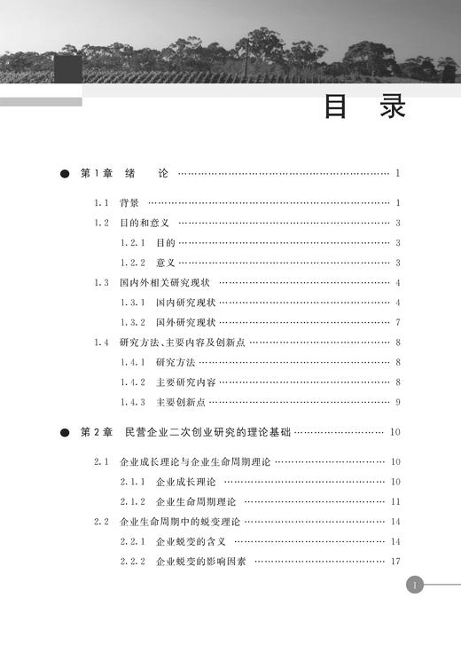 29745-9  创新：民营企业二次创业的灵魂 商品图2