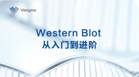 WesternBlot从入门到进阶