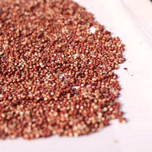  真正三蒸三晒祛湿茶，品一缕阳光的味道，简单平凡的祛湿茶 250g*2 瓶，赤小豆薏仁芡实祛湿茶 散发纯正食材的魅力 商品图3