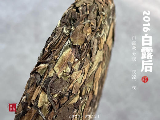 【会员重磅推荐】7年陈的老白茶《2016白露后》限量推出，枣香浓郁，香气惊艳！ 商品图2