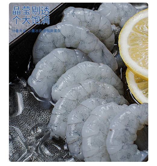 广东湛江 青虾仁 ‘’中国虾之都'' 头牌特色 商品图0