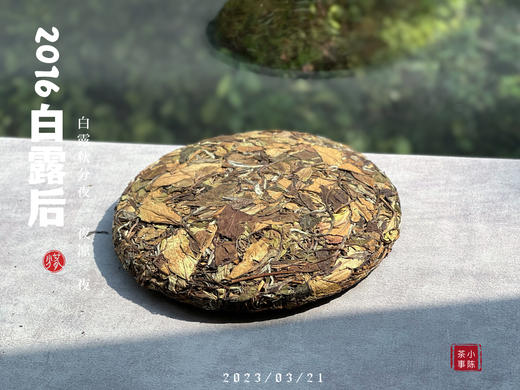 【会员重磅推荐】7年陈的老白茶《2016白露后》限量推出，枣香浓郁，香气惊艳！ 商品图1