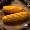 生态黄糯玉米 | 合作生产*Ecological Yellow waxy corn | Coproducted 商品缩略图4
